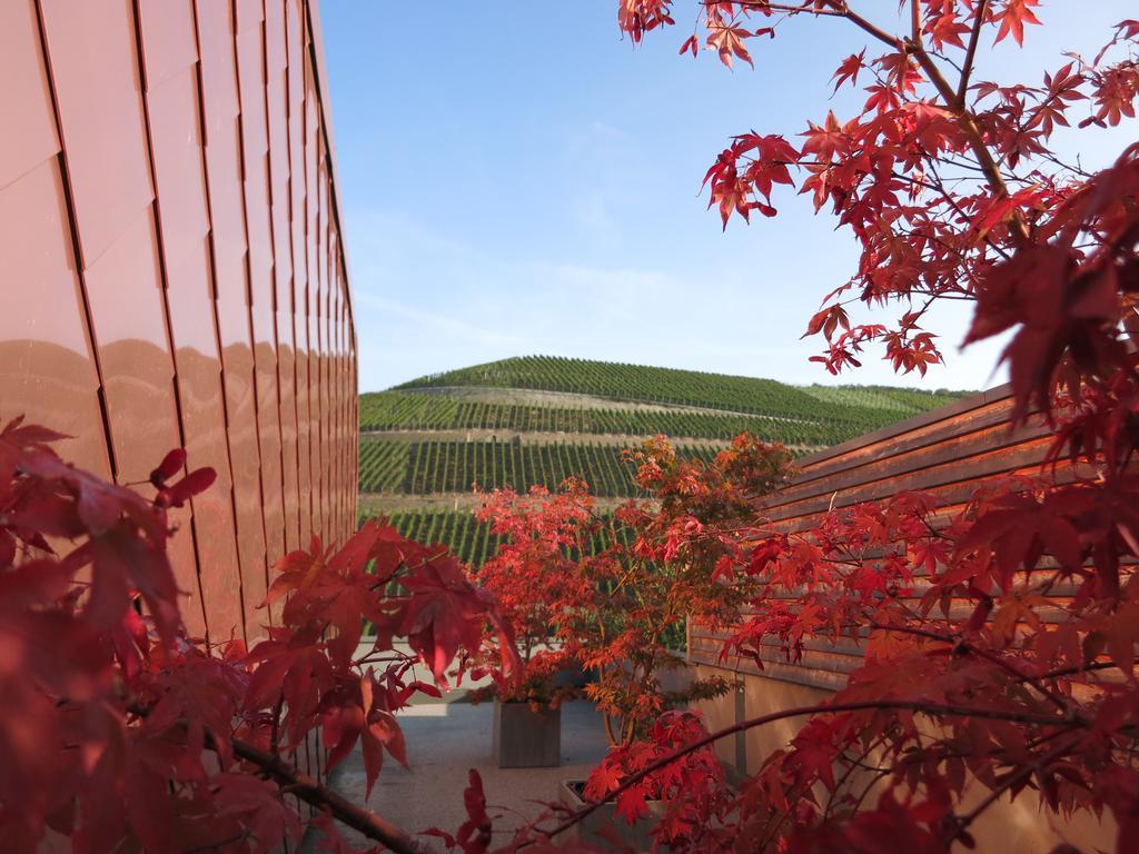 Gut Hermannsberg, Gaestehaus Niederhausen 외부 사진