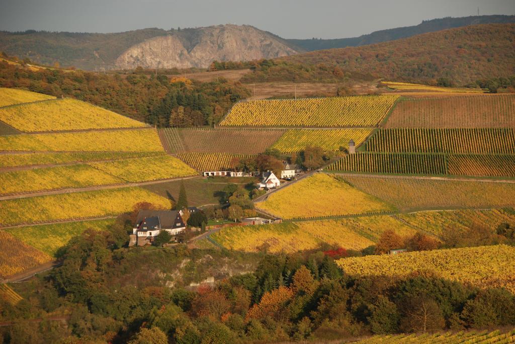 Gut Hermannsberg, Gaestehaus Niederhausen 외부 사진