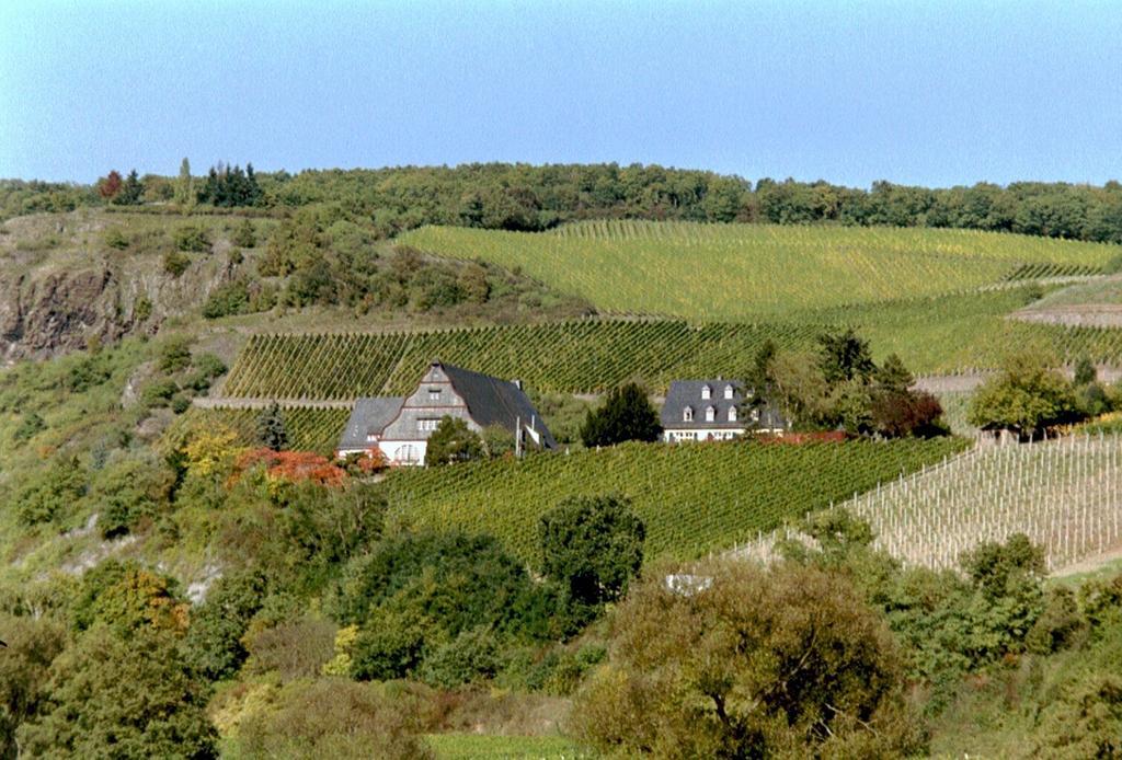 Gut Hermannsberg, Gaestehaus Niederhausen 외부 사진