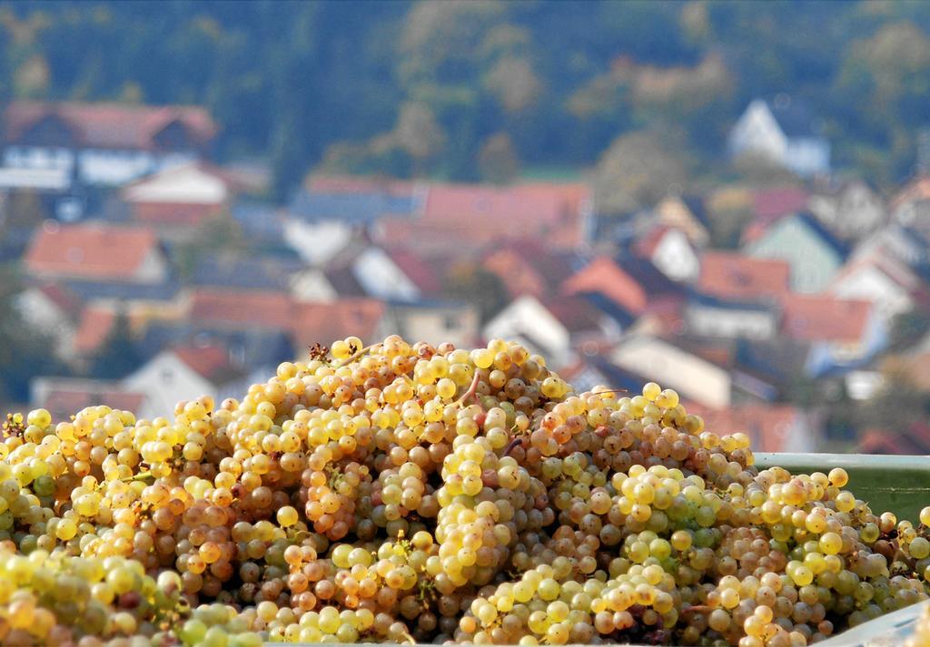 Gut Hermannsberg, Gaestehaus Niederhausen 외부 사진